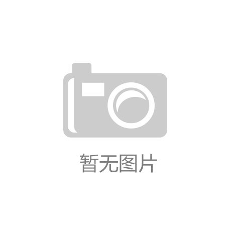 镳雷军的竞争对手越来越多凯时尊龙十年盟友