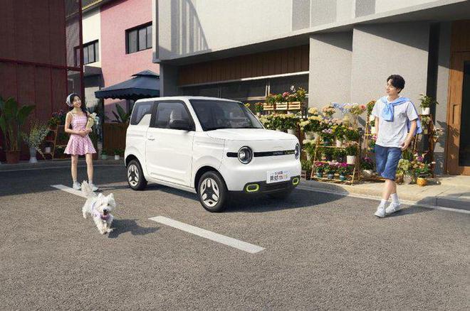 熊猫mini元气熊官图发布 4月15日上市尊龙凯时ag旗舰厅网站吉利银河2025款(图6)